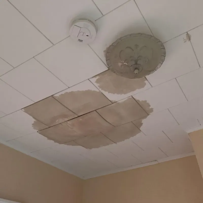 Ceiling Water Damage Repair in Dubuque, IA