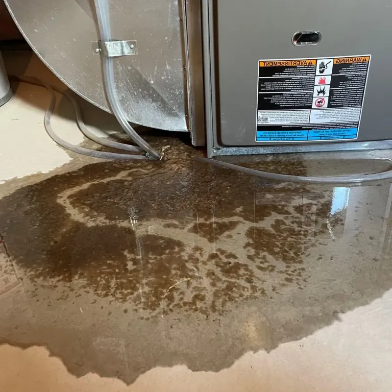Pipe Burst and Leak Restoration in Dubuque, IA